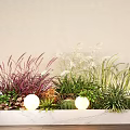Plant Combination with Purple Grass White Flowers Green Grass Cacti Globe Lights on Marble Countertop