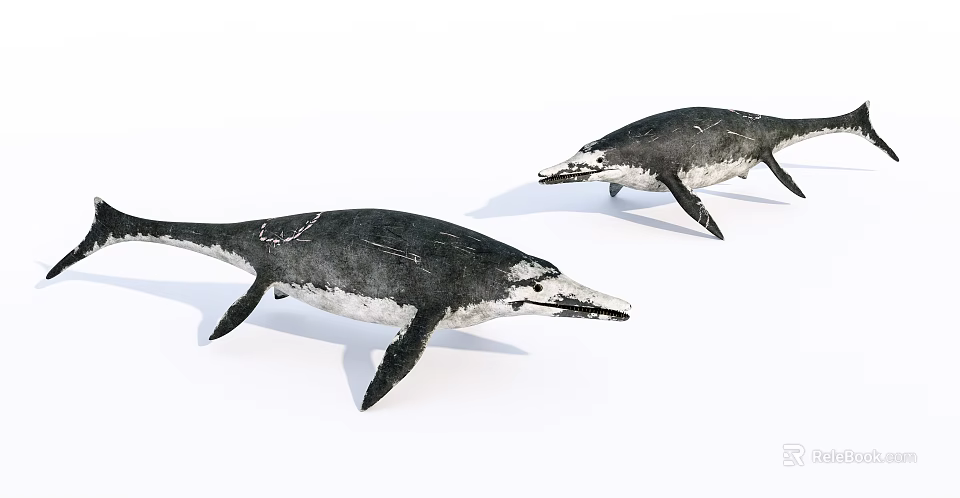 Lifelike Two Black And White Reptile Models With Streamlined Body Design 3d model 