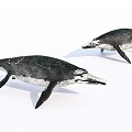 Lifelike Two Black And White Reptile Models With Streamlined Body Design