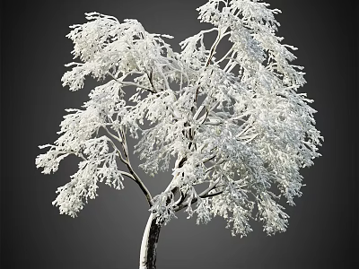 Snow Covered Tree with White Snowy Branches Against Dark Background in Winter Scene 3d model