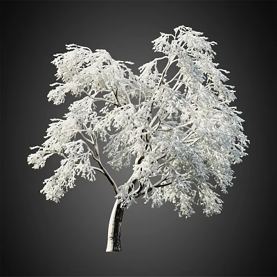 Snow Covered Tree with White Snowy Branches Against Dark Background in Winter Scene 3d model