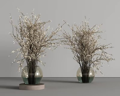Two Transparent Glass Vases With White Flower Branches On Wooden Bases And Grey Background 3d model
