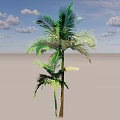 Tall Palm Tree With Lush Green Fronds And Straight Trunk In Landscape
