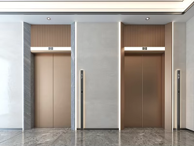 Modern Elevator Lobby With Two Elevators And Elegant Lighting 3d model