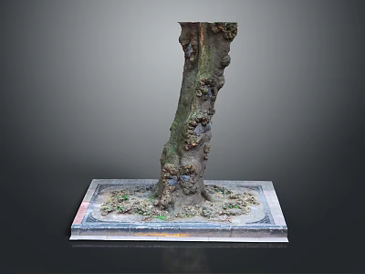 Wooden Stump Decorative Piece With Natural Stone Base And Textured Surface 3d model
