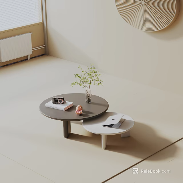 Modern Minimalist Living Room Sofa and Coffee Table Set With Round Tables Decorative Plants and Books 3d model 