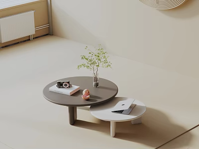 Modern Minimalist Living Room Sofa and Coffee Table Set With Round Tables Decorative Plants and Books 3d model