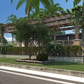 Wooden Pergola Covered with Vines Palm Trees and Bushes in Outdoor Garden Against Brick Wall