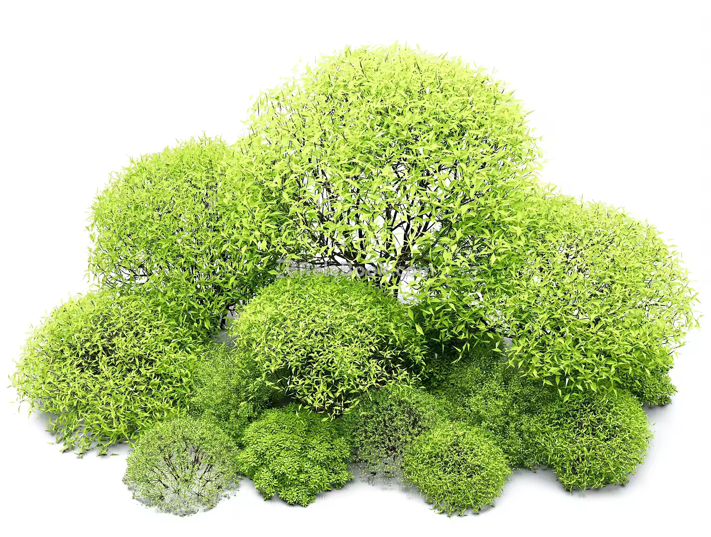 shrub ball shrub ball combination shrub courtyard shrub ball evergreen shrub ball 3d model