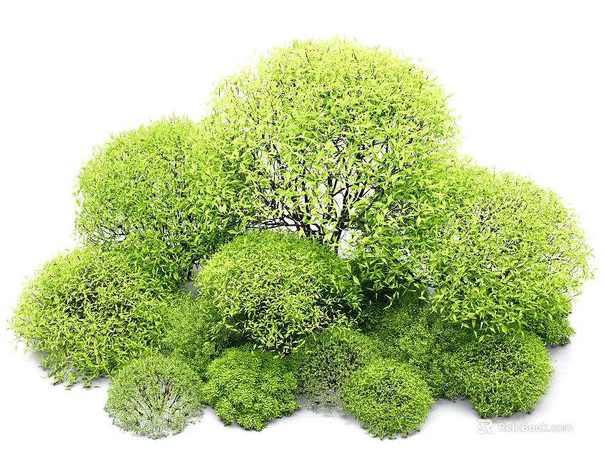 Green Shrubs With Lush Foliage Round Shapes And Various Sizes For Landscaping 3d model 