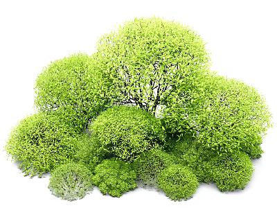 Green Shrubs With Lush Foliage Round Shapes And Various Sizes For Landscaping 3d model