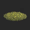 Yellow Flowers Growing In Circular Grassy Patch With Green Grass 3d model