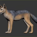 Realistic Brown and Gray Jackal Figure Standing on Dark Reflective Ground