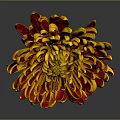 Vibrant Chrysanthemum With Red And Yellow Petals On Dark Background