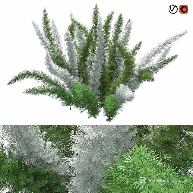 Green and Silver Leaf Shrubs with Lush Foliage for Garden Landscaping Design 3d model 