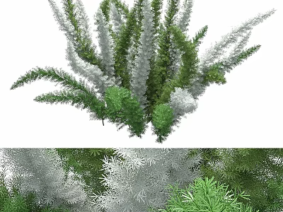 Green and Silver Leaf Shrubs with Lush Foliage for Garden Landscaping Design 3d model