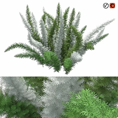 Green and Silver Leaf Shrubs with Lush Foliage for Garden Landscaping Design 3d model