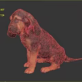 Adorable Basset Hound Puppy With Long Ears Brown Black Fur And Pink Collar Sitting