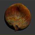 Fresh Ripe Onion With Reddish Orange Textured Skin And Stem On Dark Background