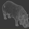 Hippopotamus 3D Rendering With Gray Skin And Wet Appearance On Dark Background