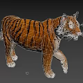 Realistic 3D Tiger Model With Orange Black Stripes And White Face Standing On Black Background
