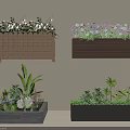 Hanging and Potted Plant Combination with Wooden Boxes Gray Planters and Colorful Blooms