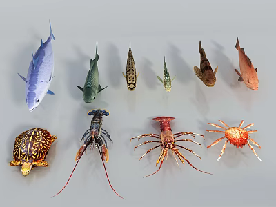 Colorful Aquatic Animals Collection Featuring Fish Turtle Lobster And Crab Species 3d model