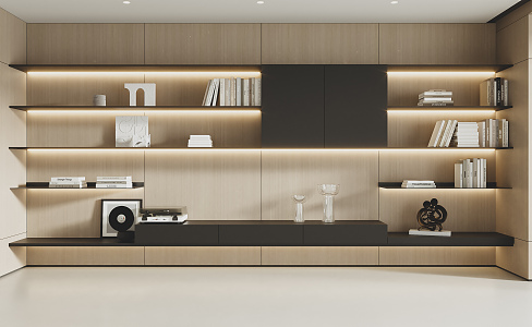 Modern bookcase 3d model