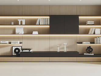 Modern bookcase 3d model