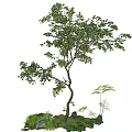 arbor landscape tree 3d model