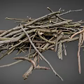 Collection of Various Natural Dry Twigs and Branches on Gray Background