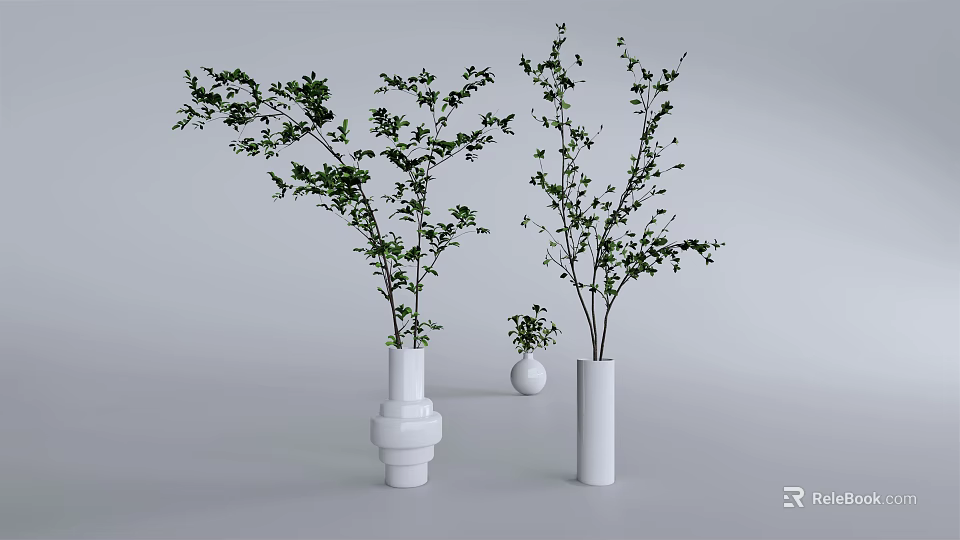 White Vases Holding Green Leafy Branches and Small Plant on Gray Surface 3d model
