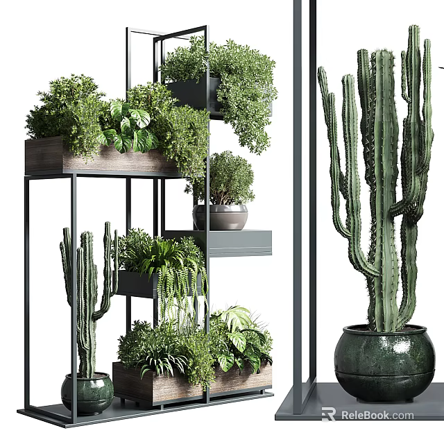 Stylish Garden Decor With Multi Layered Plant Shelves And Cacti Green Plants 3d model 
