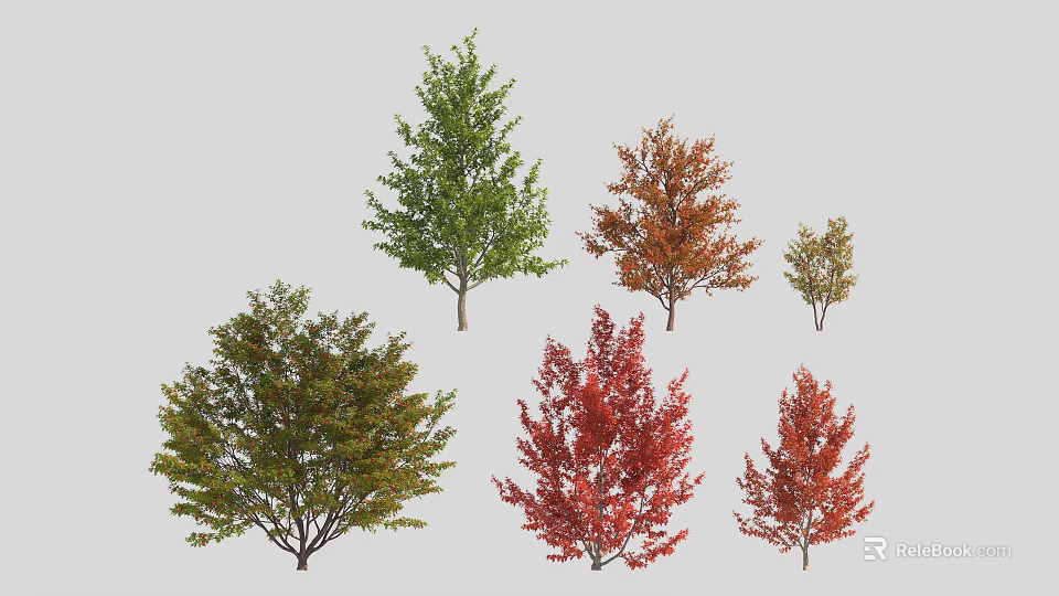 Different Deciduous Tree Varieties with Green Red and Orange Foliage for Landscaping 3d model 