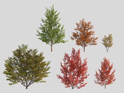Different Deciduous Tree Varieties with Green Red and Orange Foliage for Landscaping 3d model