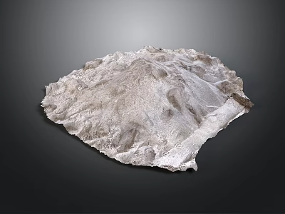 3D Terrain Model With Irregular Shape And Silver White Textured Surface 3d model