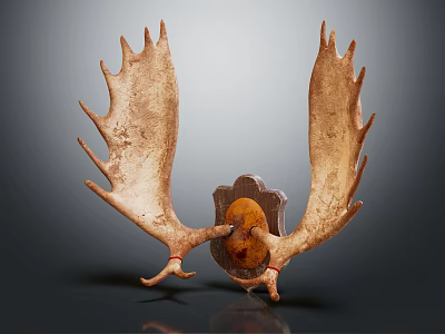 Natural Moose Antlers Animal Wall Decor With Decorative Base For Home Decoration 3d model