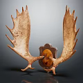 Natural Moose Antlers Animal Wall Decor With Decorative Base For Home Decoration