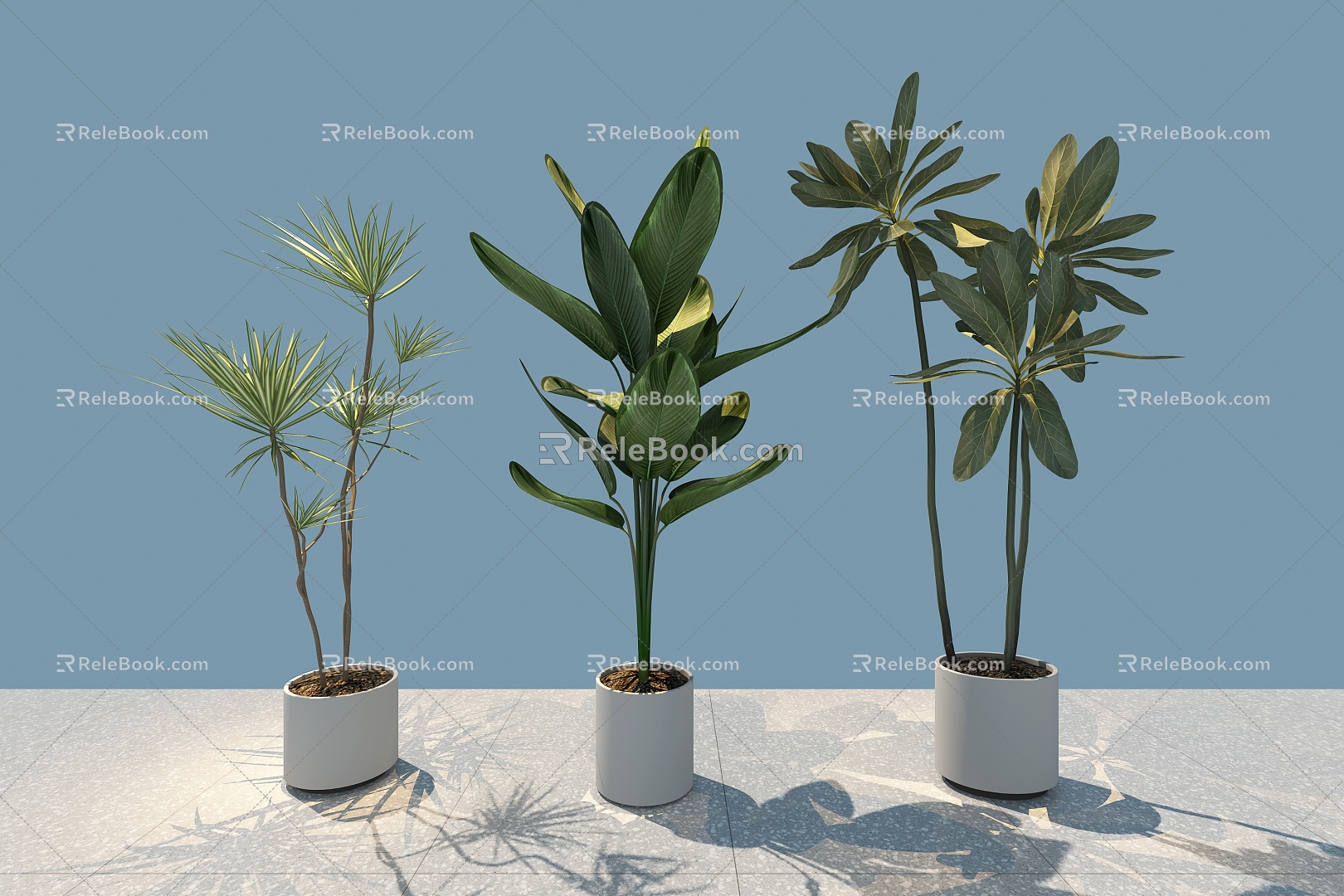 green plant potted tree model