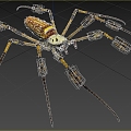 Modern golden silk round spider spider insect animal creature 3d model