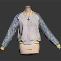Light Pink Bomber Jacket With Blue Patterned Sleeves And Yellow Trim 3d model