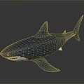 Realistic Blue Shark Model With Dark Gray Background And Reflection