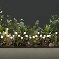 Decorative Lights Illuminating Lush Green Plants With Fresh Leaves And Natural Stones