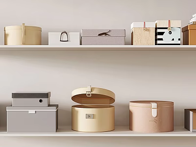 Stylish Decorative Storage Box Set With Various Shapes And Colors On Wooden Shelf 3d model