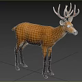 Swamp Deer Animal Creatures 3d model