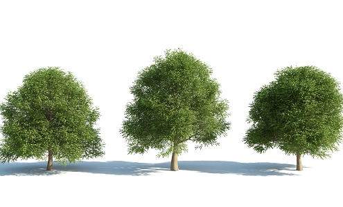 The Modern Tree 3d model