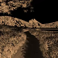 Picturesque Golden Sunset Rural Landscape With Horse Rider Riding Along Wild Flower Lined Country Path