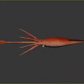 Modern squid Humboldt squid firefly squid firefly squid firefly squid 3d model