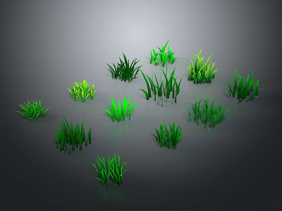 Various Green Grass Clusters in Different Forms on Gray Background with Reflections 3d model