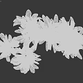 Lush Tree With Green Leaves Brown Trunk And Multiple Branches Against Black Background